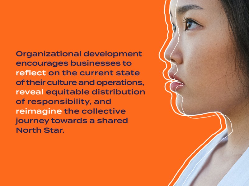 What is Organizational&nbsp;Development?