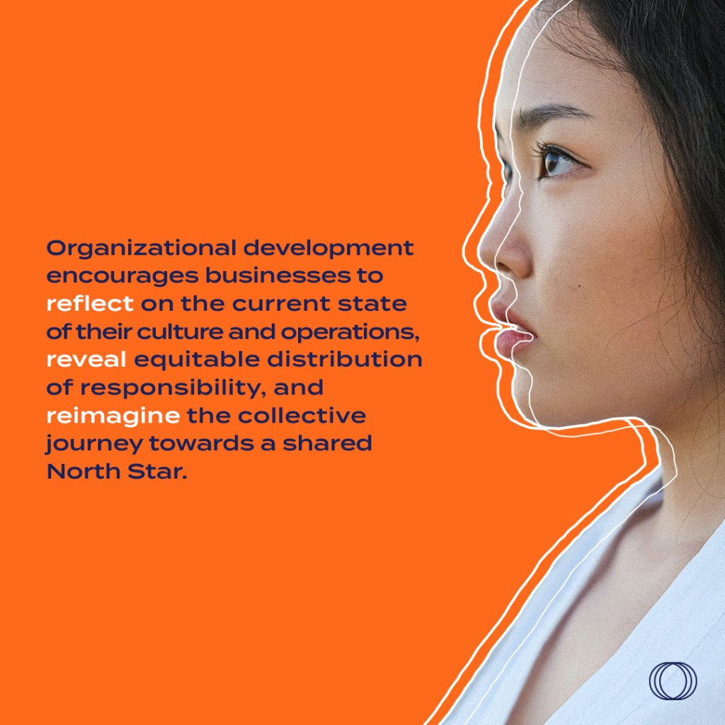 What is Organizational&nbsp;Development?